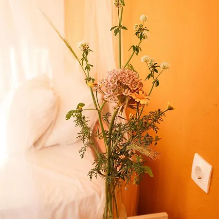 Cottages On Kos Bed & Breakfast *